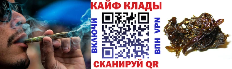 Каннабис Черняховск