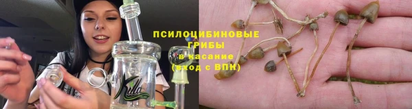 дурь Магадан