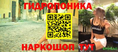 спиды Кимры