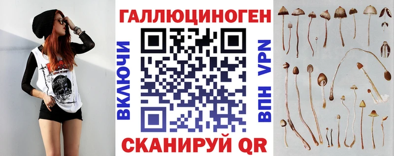 Галлюциногенные грибы Psilocybe Черняховск