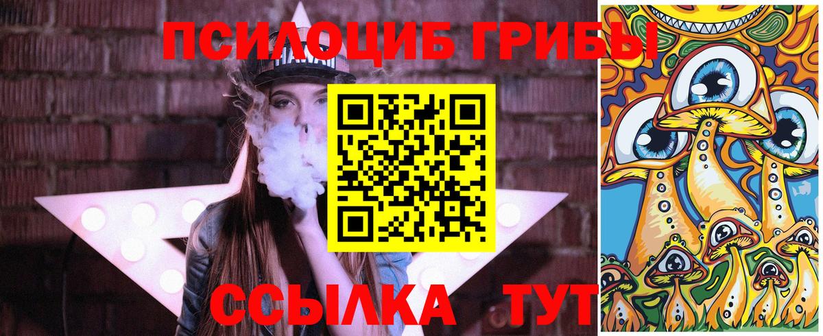 Псилоцибиновые грибы MAGIC MUSHROOMS Черняховск