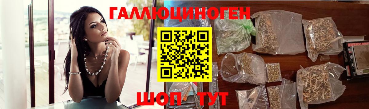 Галлюциногенные грибы MAGIC MUSHROOMS  Черняховск  Псилоцибиновые грибы MAGIC MUSHROOMS 