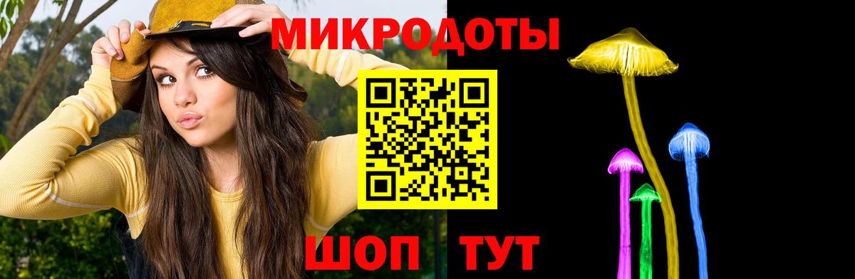 Псилоцибиновые грибы Psilocybine cubensis Черняховск